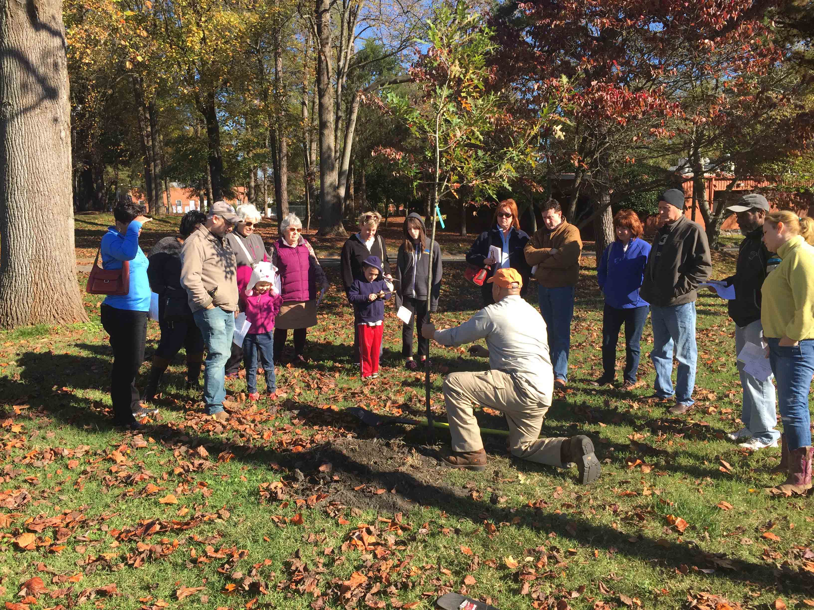 Treescharlotte Nonprofit Volunteer Opportunities Charlotte Nc