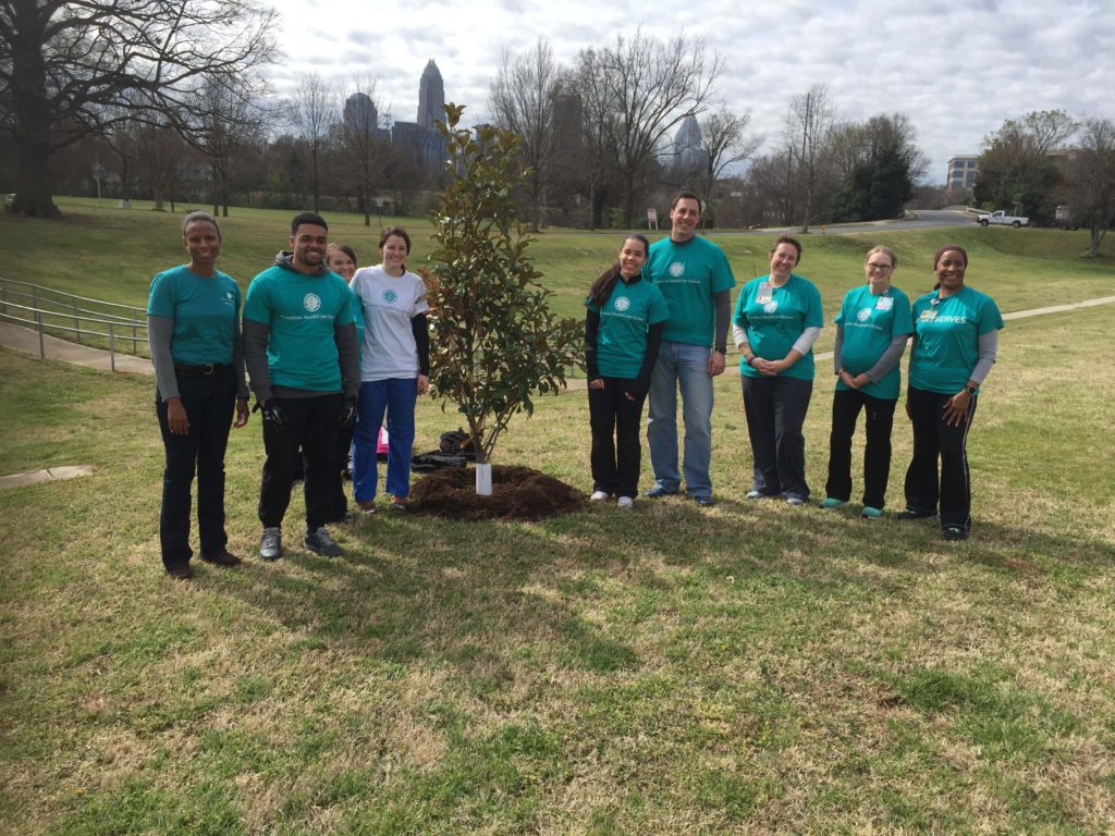 TreesCharlotte Tree Care Information Charlotte NC