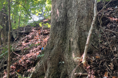 Photo-Sep-05-2025-1-57-54-PM