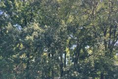 Photo-Sep-05-2025-2-18-11-PM