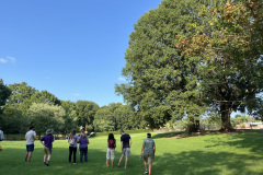 Greenville-Tree-Walk-7.30.24-43