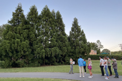 LSC-TreeWalk-9-5-24-28