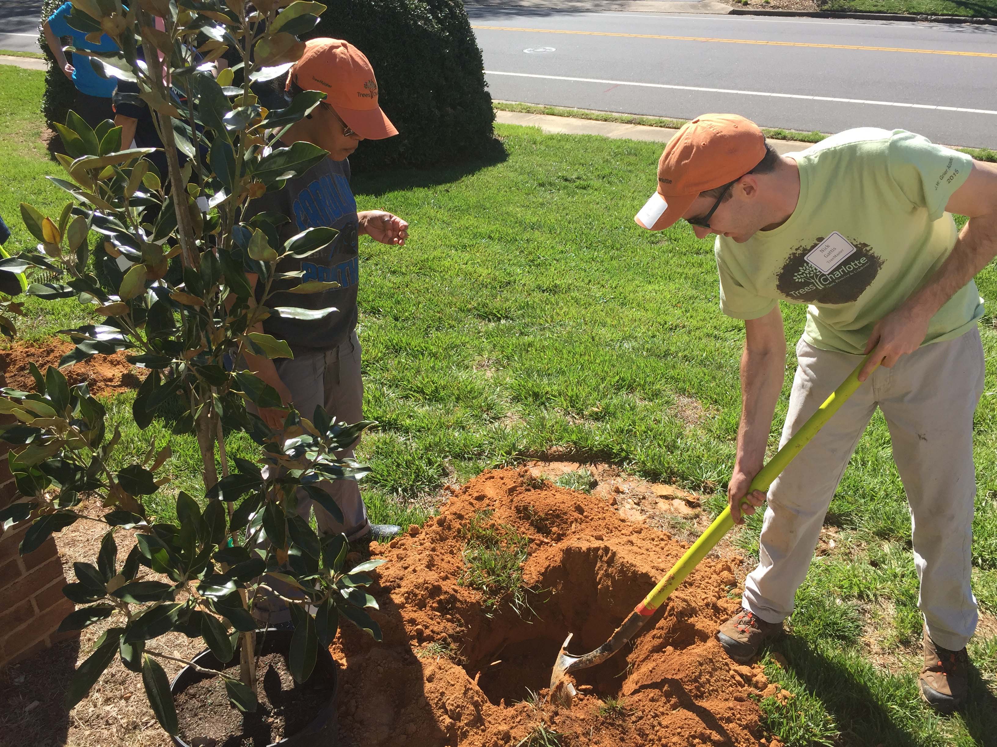 Treescharlotte Tree Canopy Conservation Charlotte Nc Nonprofit