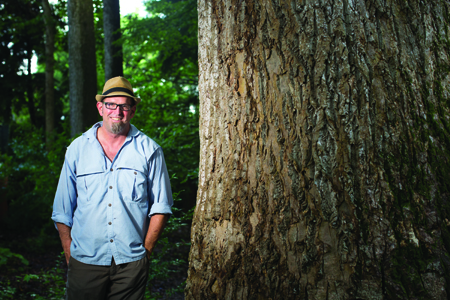 Patrick George tells the stories of our Treasure Trees, like this tulip poplar at Wing Haven.