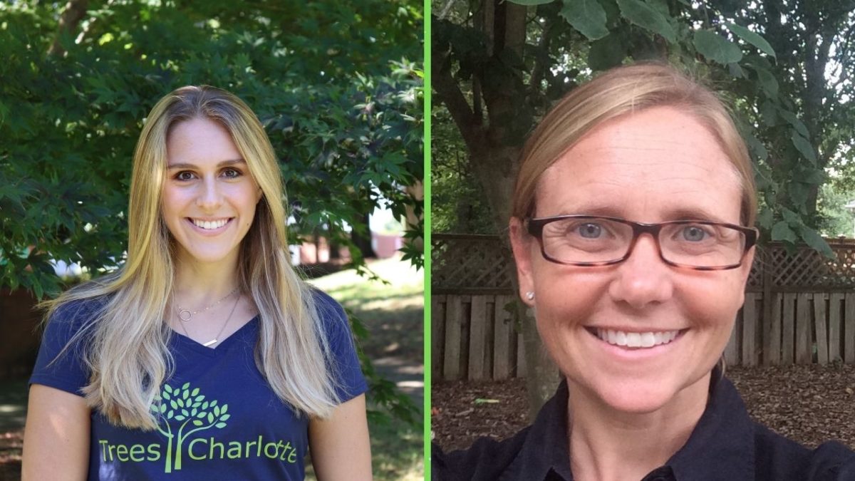 Ask the Arborist TreeStore edition TreesCharlotte