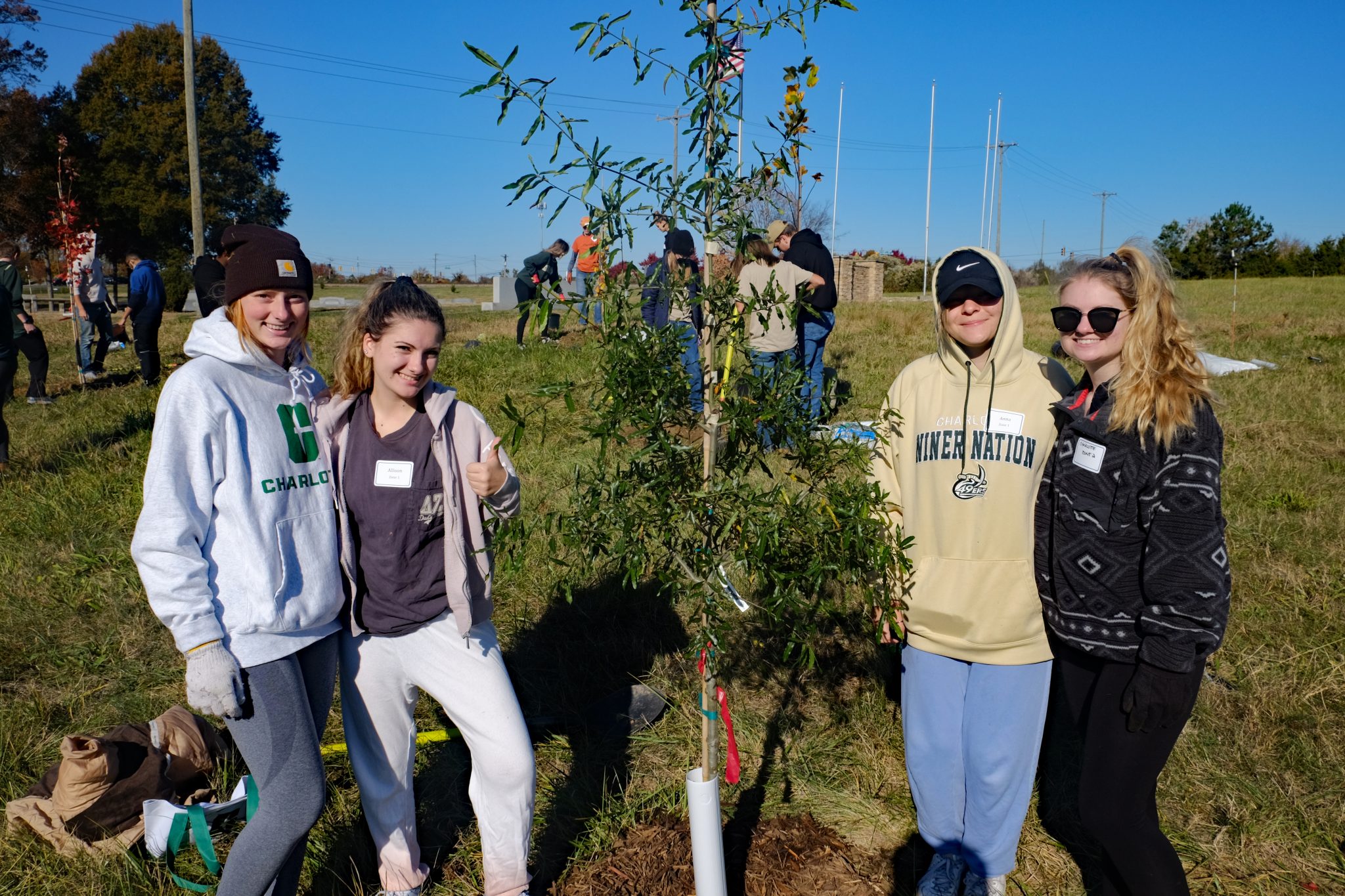 TreesCharlotte A Volunteer Charlotte NC