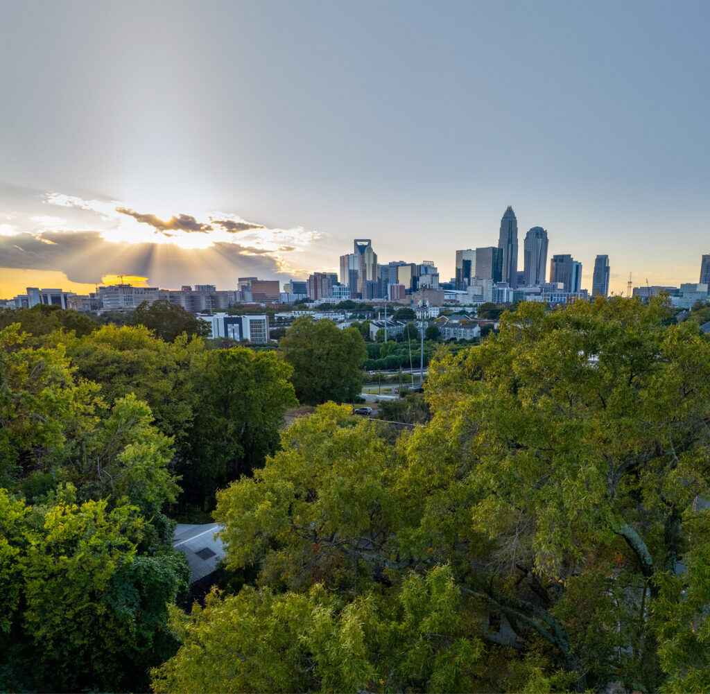 Charlotte Without Trees Resource Guide TreesCharlotte