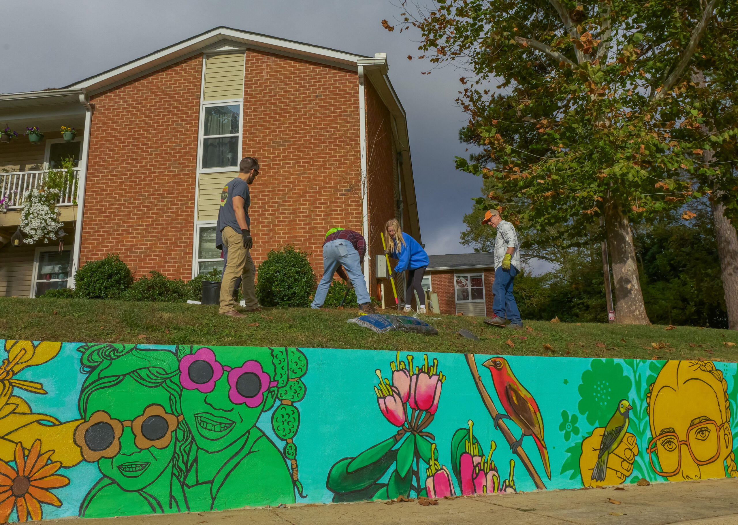 Treescharlotte Tree Canopy Conservation Charlotte Nc Nonprofit